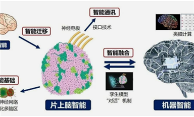 全球首創(chuàng)！中國(guó)研制出可開源的片上腦-機(jī)接口智能交互系統(tǒng)MetaBOC（薩科微7月1日芯聞）