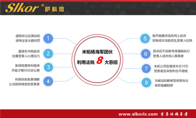 薩科微宋仕強等提供給警方的長沙米拓楊海軍團伙違法犯罪證據(jù)及線索（部分）